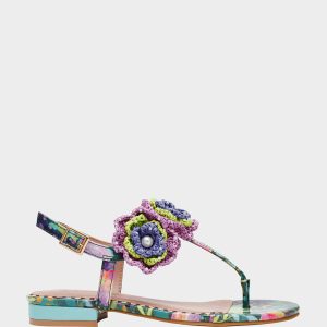 CINDII BRIGHT MULTI